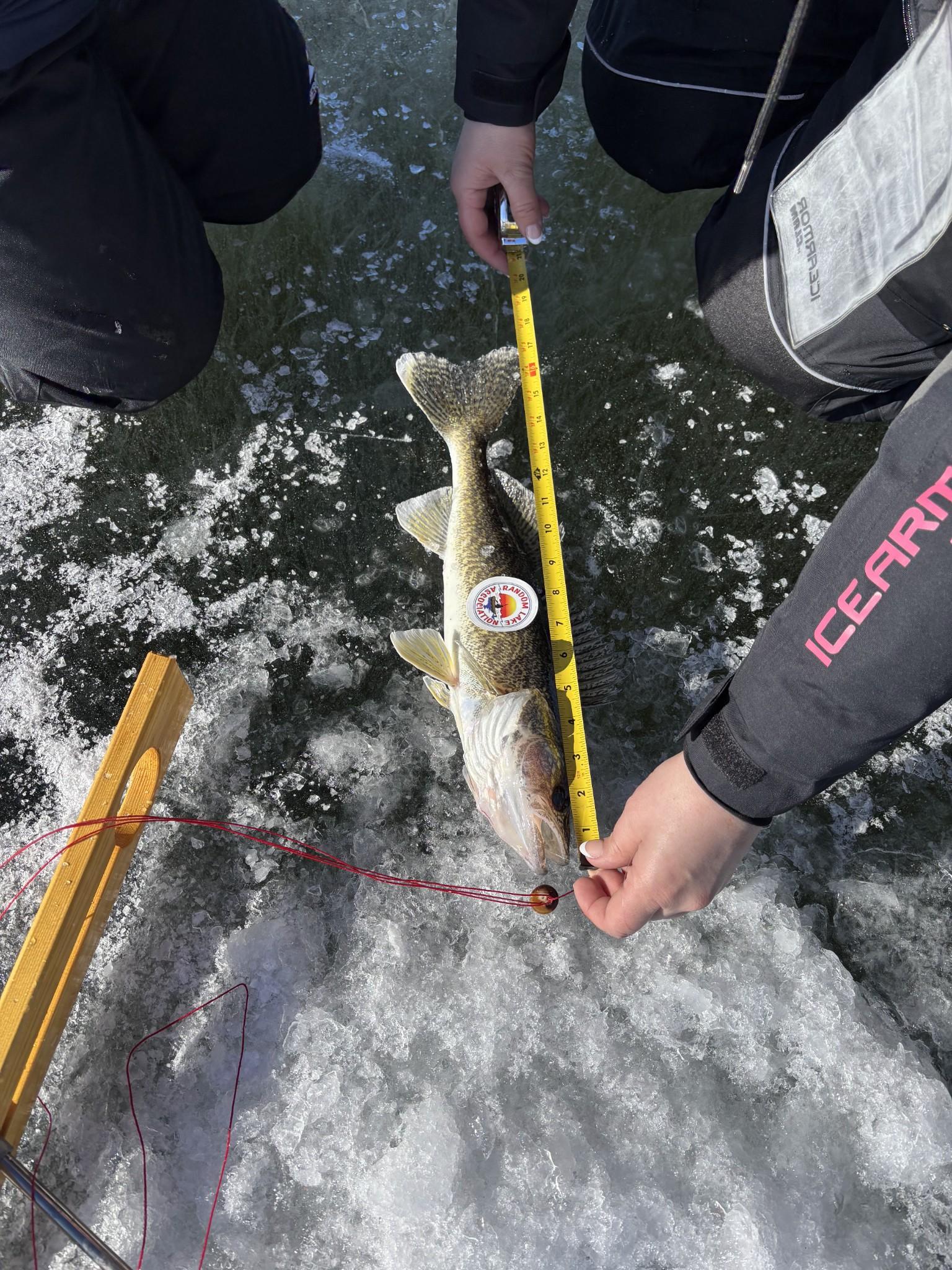2026 Frozen Toes Ice Fishing Tournament Website Updates 2